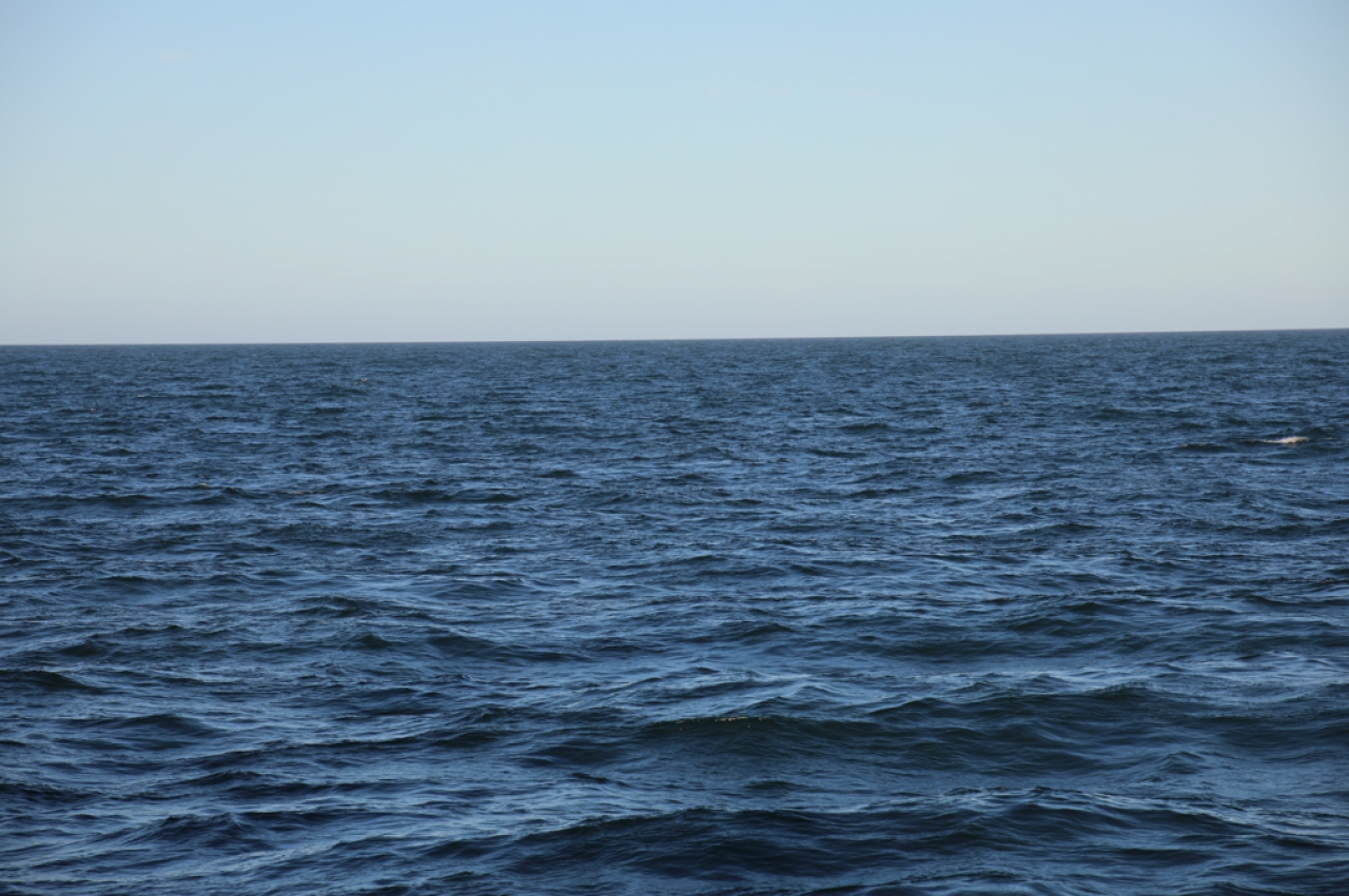 La temperatura del mar en Mar del Plata en el mes de septiembre promedi&oacute; los 12,1 grados