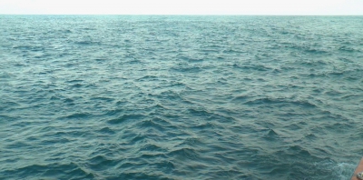 Durante agosto, la temperatura del agua en la superficie del mar en Mar del Plata promedió los 10,5 grados