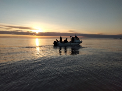 El tracker Willie realizó una campaña de investigación de sábalo en el Río de La Plata