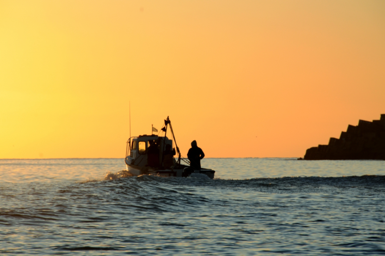 Investigadores del INIDEP brindaron una capacitación a biólogos de la Dirección Provincial de Pesca de Buenos Aires