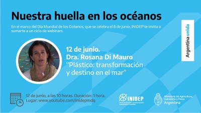 Con “plásticos: transformación y destino en el mar”, llega a su fin el ciclo de webinars por el Día de los Océanos