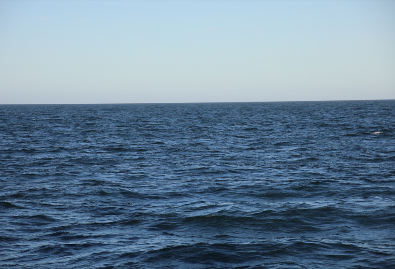 La temperatura del agua de mar en marzo promedió los 20,3 grados