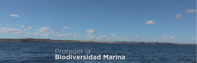 INIDEP participó del tercer encuentro de la Comisión Técnica Consultiva del proyecto Proteger la Biodiversidad Marina