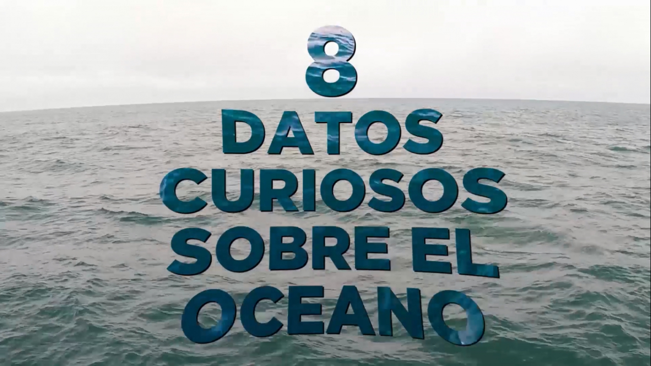 Inidep se suma al Día de los Océanos con &quot;8 datos curiosos&quot;