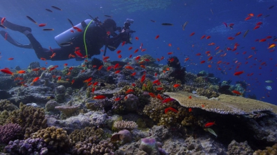 El Cambio Climático y la Acidificación Oceánica, en un nuevo ConCiencia Marina