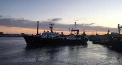 Tras 3 años, el INIDEP vuelve a realizar una campaña de merluza en la zona de cría norpatagónica