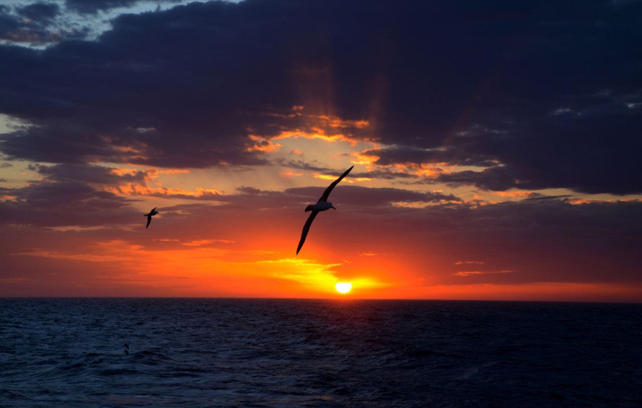 La temperatura del mar en Mar del Plata en el mes de julio promedi&oacute; los 9,3 grados