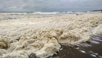 La explicación científica de la espuma que se formó en las costas de Mar del Plata