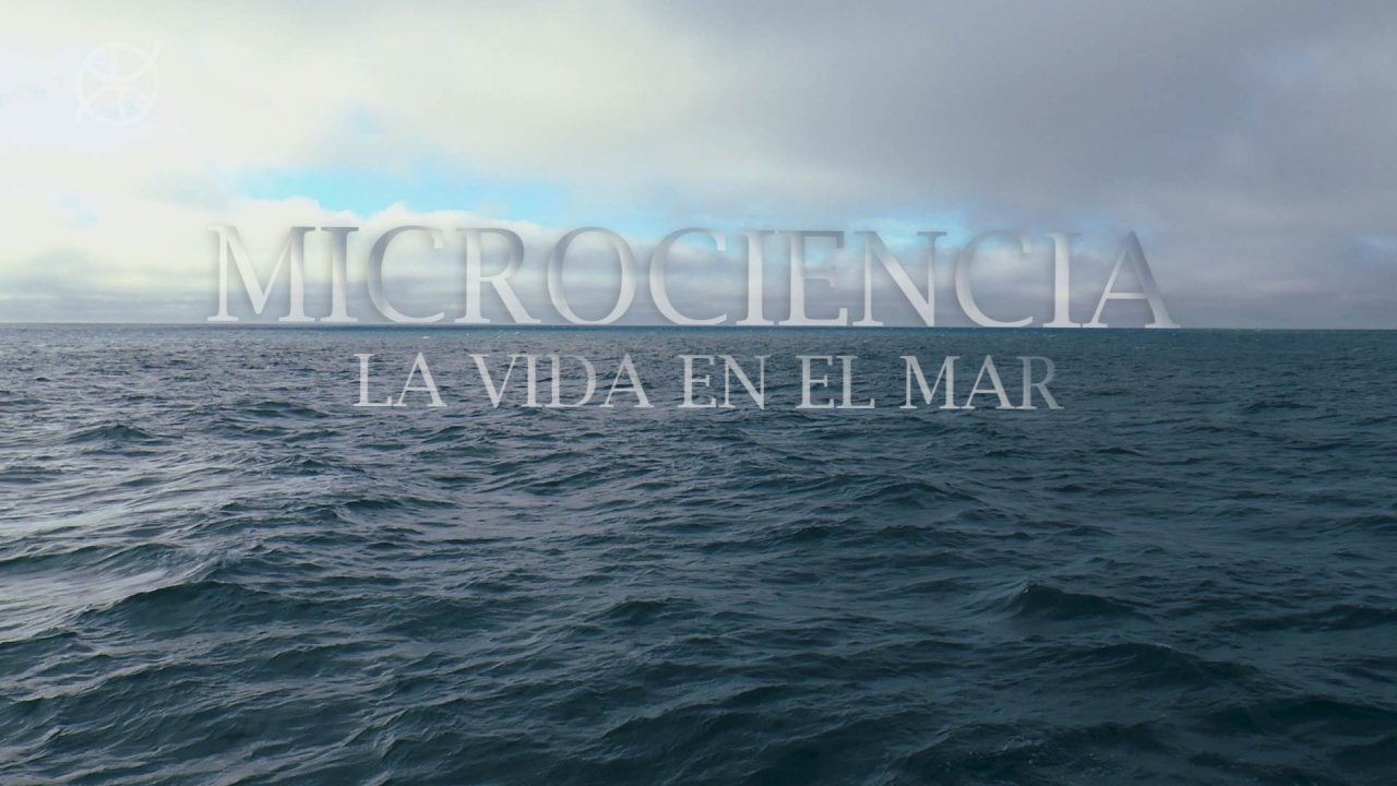 Inidep se suma al Canal de la UNMDP con “Microciencia – La vida del mar”