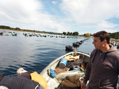 Investigador del INIDEP se capacitó en Chile sobre desoves y desarrollos de larvas de bivalvos