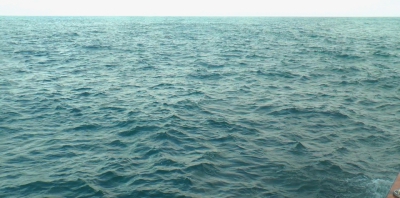 ¿Cuál fue la temperatura del mar en Mar del Plata durante diciembre?