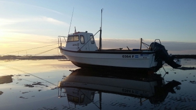 Comenzó la campaña de corvina rubia en la Bahía de Samborombón