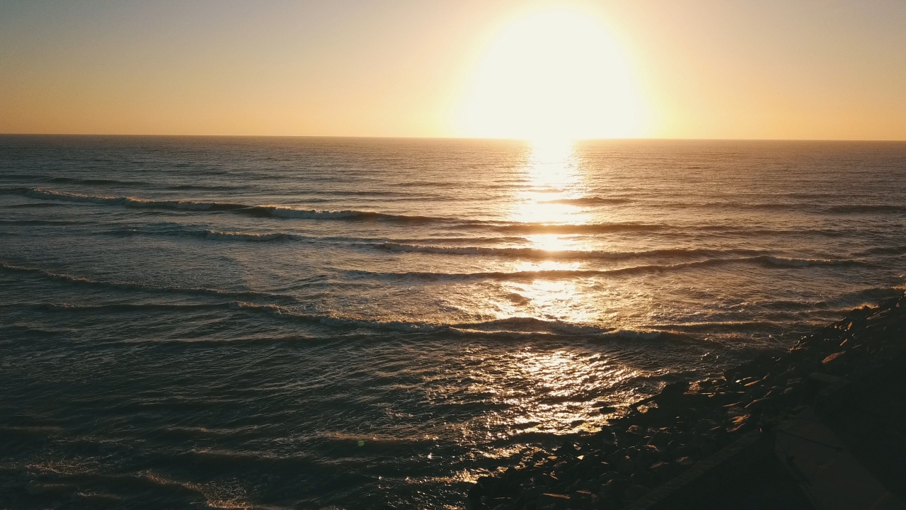 Conocé cuál fue la temperatura del mar en Mar del Plata durante diciembre