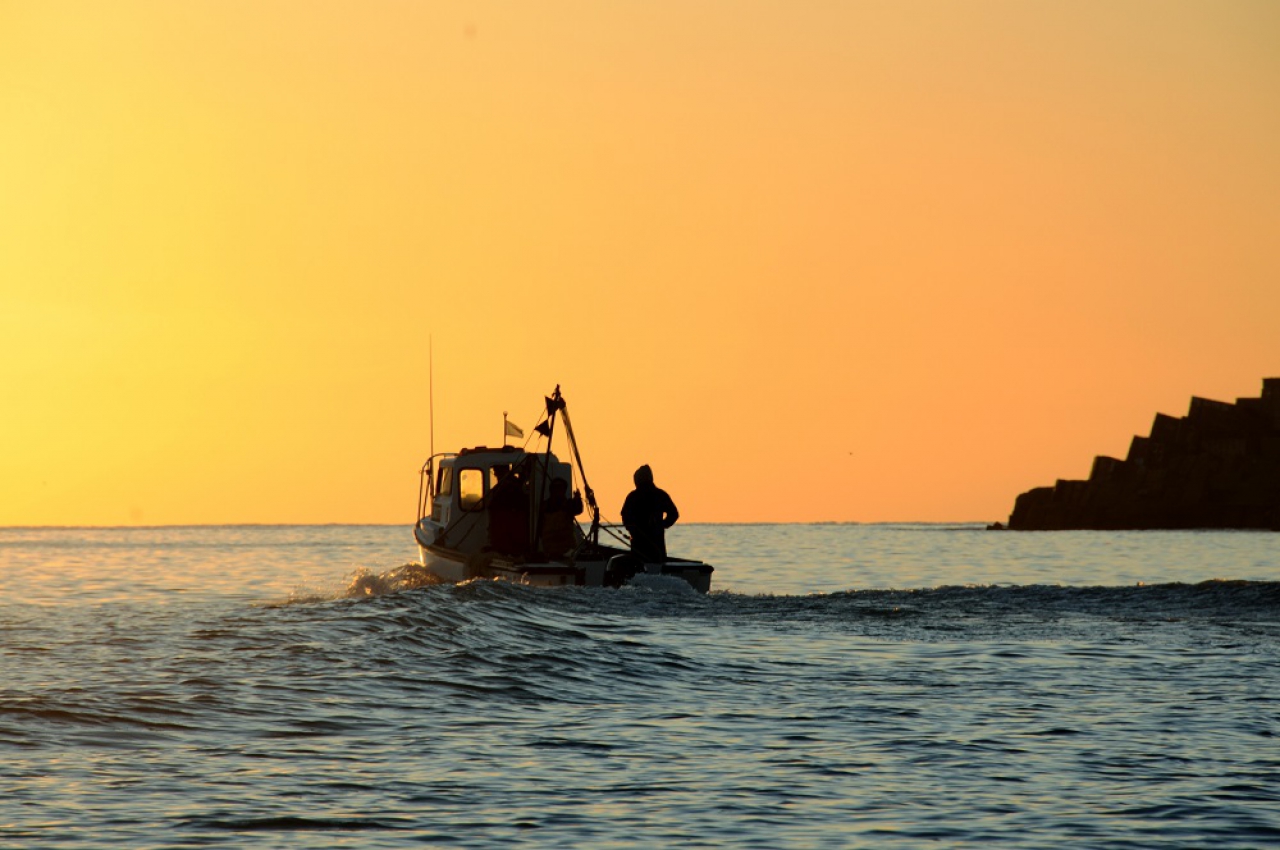 Conocé cuál fue la temperatura superficial del mar durante febrero