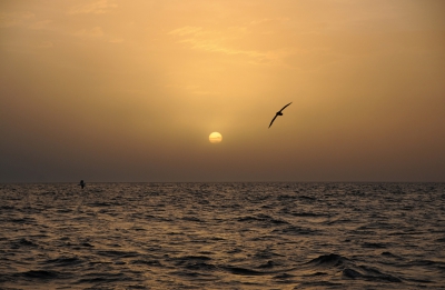 En agosto la temperatura del mar promedió 9,6 grados