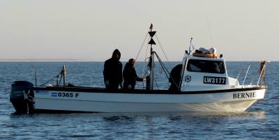 Se llevaron a cabo estudios poblacionales y ecosistémicos del langostino bonaerense