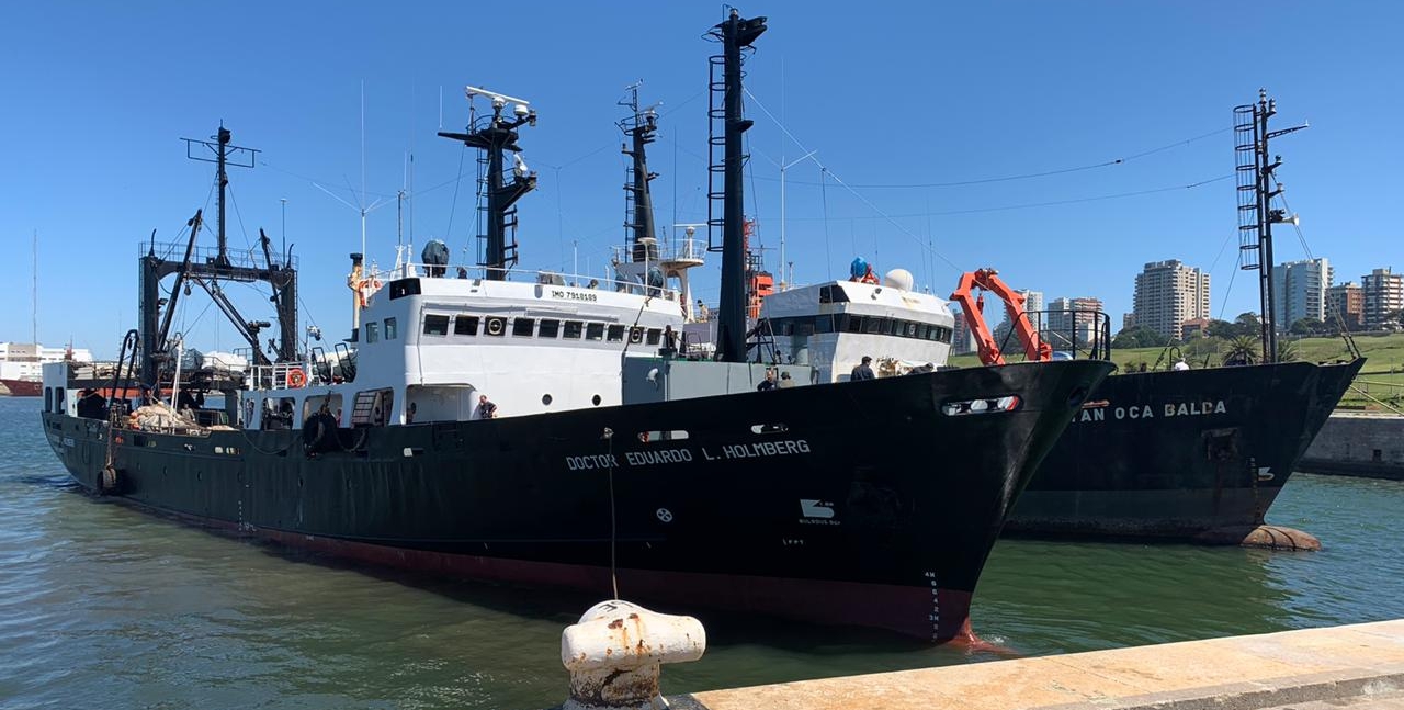 El Holmberg zarpó para evaluar el stock bonaerense de anchoíta