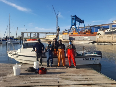 Se realizan estudios poblacionales y ecosistémicos de langostino bonaerense