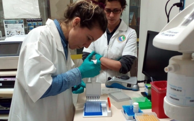 Investigadora del INIDEP trabaja junto a científicos peruanos sobre “temperaturas óptimas reproductivas de peces”